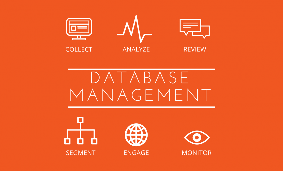 The importance of database management