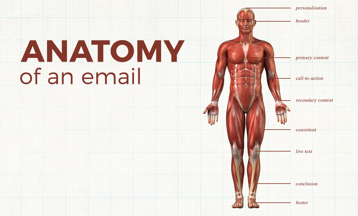 The Future of Visual Content Explained: The Anatomy of an Email